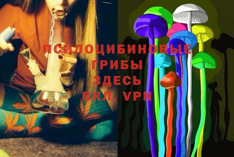 Галлюциногенные грибы MAGIC MUSHROOMS  наркотики  Волхов 